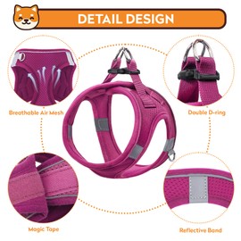PWOD Dog Harness with Leash Set, No-Pull Step-in Reflective Pet Harness with 1 Leash Clips, Adjustable Soft Padded Easy Walk Dog Vest for Small Medium Large Dogs, Cats(Rose Red, XXSmall)
