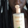Shea Delight Shampoo (400 ml)