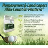 Penterra Soil Penetrant and Wetting Agent – Promotes Water Movement