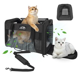 Soft-Sided Large Cat Carrier for 2 Cats, Spacious Foldable Pet Travel Carrier for Large Cats up to 25 Lbs, Double Cat Bag with Shoulder Strap, 20x13x13 Inch, Fits Maine Coon and Small Dogs, Black