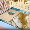 Sand Bath Container for Hamsters with Ladder Transparent Acrylic Sand