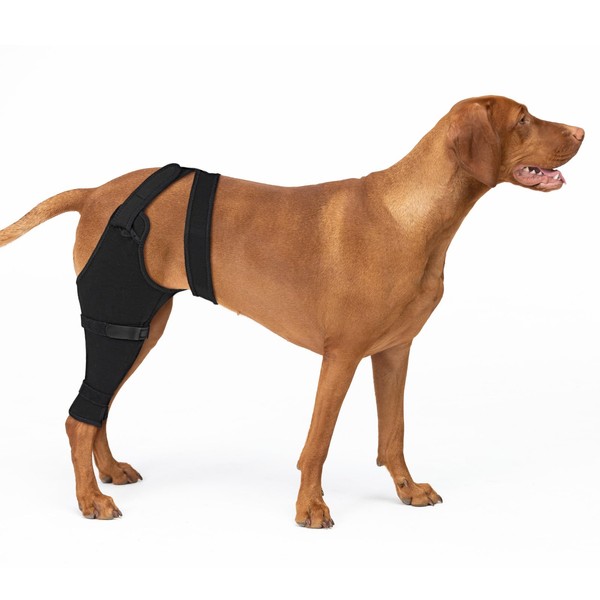 Joypig Joypig Dog Rear Leg Sleeve to Prevent Licking -