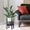 D'vine Dev Ceramic Planter with Ebony Stand - 8 Inch
