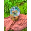 Onwomania Grizzly Brown Bear Height 6.5 cm Snow Globe Glitter