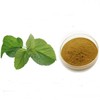 Mulberry Leaf Extract Powder 1kg