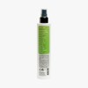 Leave In 13 en 1 Crema de Peinar Antifrizz 250