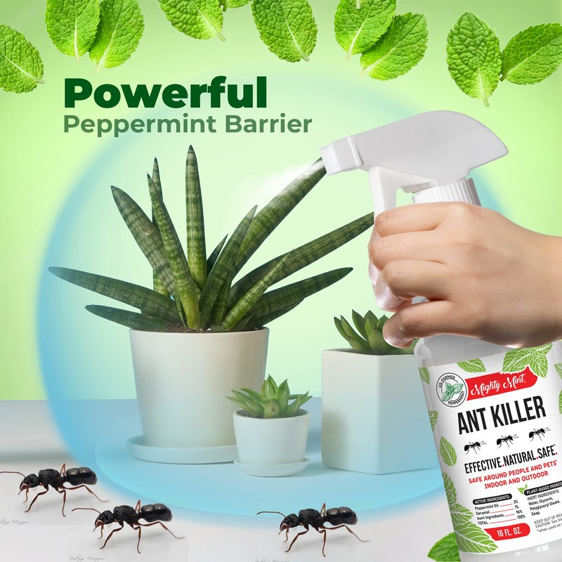 Mighty Mint Peppermint Oil Ant Killer Spray – Natural Ant