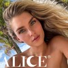 ALICE Lash Clusters Wispy Eyelash Clusters 10-18mm 168pcs Cluster Eyelash