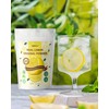 ORGFUN Original Lemon Powder, Freeze Dried Lemon Juice Powder, Great