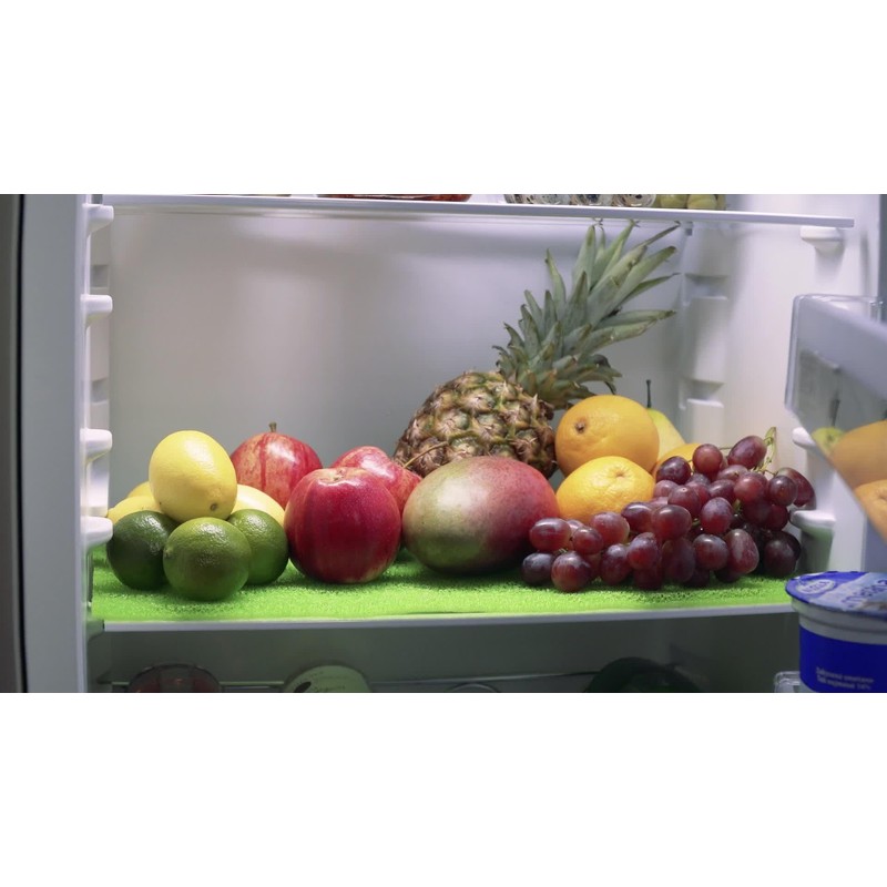 Tescoma 4FOOD Fridge Mat 47 x 30 cm, Pack of
