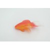 Unbranded Toy Goldfish, Model Fish Orange, Rubber, Realistic Figure Gift