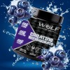 Creatina Monohidratada 500g En Polvo Wolf Varios Sabores Mora Azul