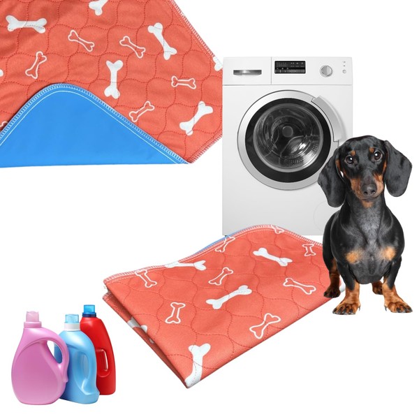 Dog Pee Pads (40x60cm, Pack of 1) Washable Dog Pee