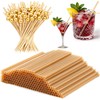 Domensi 200 Pcs Cocktail Straws and Picks Kit 5 Inch