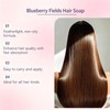 Blueberry Fields Shampoo & Conditioner Bar Set, Solid Hair Wash