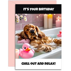 Cocker Spaniel Birthday Card - Chill out and Relax - A5 Size with Pink Envelope. Funny Card for her, mum, nan, auntie, sister, daughter. Designed and Printed in the UK