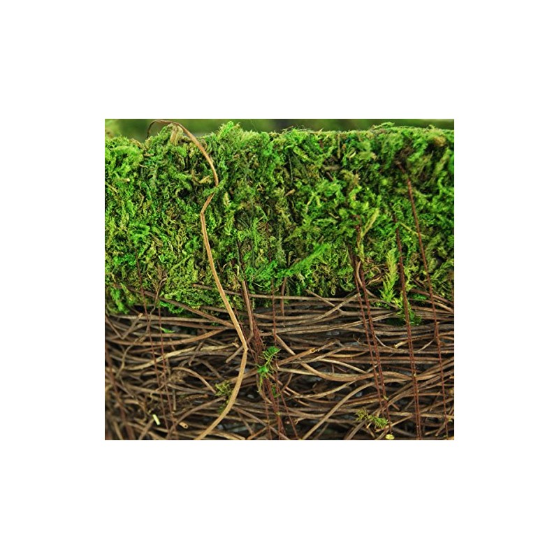 SuperMoss (55071 Ventura, Fresh Green, Small