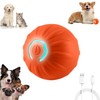 GSHLGAO Shaky Ball Toy for Dogs,Vibrating Dog Ball,Shaky Ball Dog