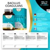 LN Bacillus Coagulans | 90 High Strength Spore Probiotic Capsules