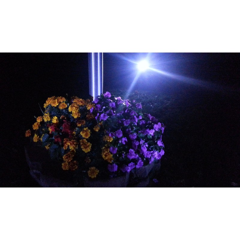 PolePal Solar LED Flagpole Lighting System