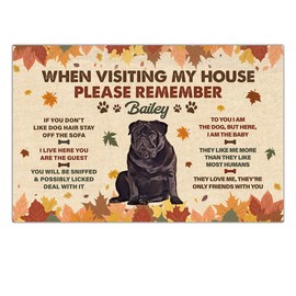 Funny Doormat Gift for Pug Owners from Family Friends I Live Here You are The Guest Autumn Leaves Lovers Floor Mat Kitchen Carpet Indoor 16x24 Inch Outdoor Entryway Doormats