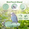 4 PCS Bird Beak Grinding Stone, Bird Perches for Cage,