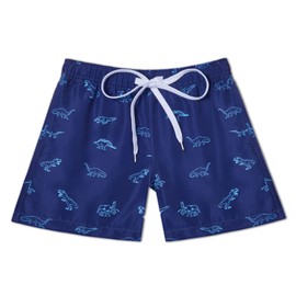 Racqua Boys Swimming Shorts Toddler Boys Quick Dry Swim Trunks Board Beach Shorts Boys Bathing Suit Kids Swimsuit Blue Dinosaur Size 14/16