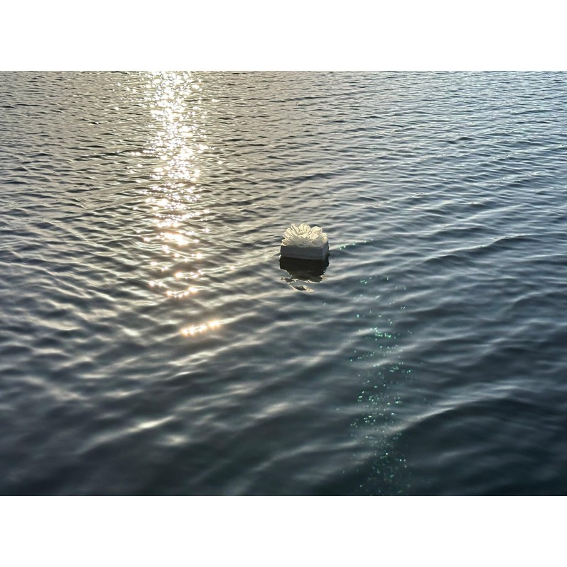 Biodegradable Urn for Water and Ground Burial – Small (Infant)