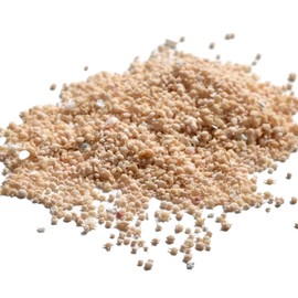 MYmama Sea Sand Resin Sand White Ocean Resin Art Enclosed Keychain (Star Sand)