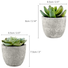 Thyores 2 Pack Artificial Fake Plants Mini Succulents Plants with Plastic Pots, Decorative Plants for Home Decor, Office Desk Plants