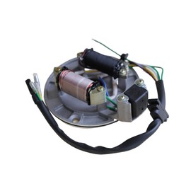 Trkimal 2 Coil Ignition Magneto Stator Plate for 50cc 70cc 90cc 110cc 125cc Kazuma Taotao Baja SSR Go-Karts Pocket Bikes Choppers ATV Quad Dirt Kick Bike 4 Wheeler