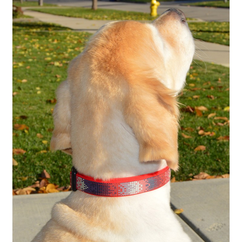 Designer Adjustable Dog and Puppy Collar, Blue Zen, Large