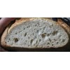 Unbranded SAN FRANCISCO SOURDOUGH YEAST STARTER SALLY 150 YEARS OLD