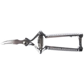 Vittori – Masticateur Nahrungszerkleinerer Chrom SCAT
