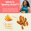 Peeled Snacks Organic Dried Fruit – Healthy, Vegan Snacks for