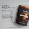 Viggo Creatina Magnapower En Polvo 450g Sin Sabor Sin Sabor