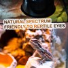 ReptiKing 100W Reptile Heat Lamp Bulbs, 2 Value Pack, Daylight
