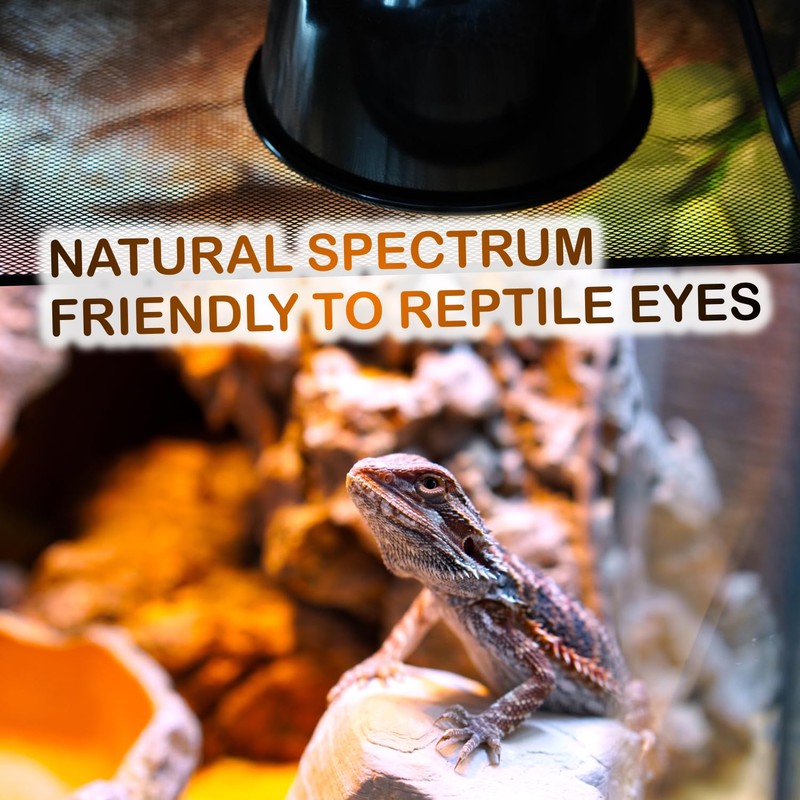 ReptiKing 100W Reptile Heat Lamp Bulbs, 2 Value Pack, Daylight