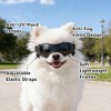 anteojos de sol Chihuahua extra pequeñas con protección ocular para
