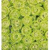 Wire Balls Set of 10 1 x 8 cm +