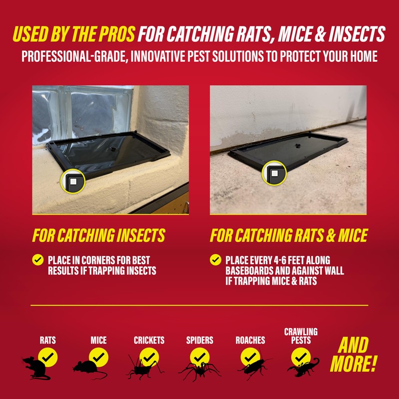 Catchmaster Rat & Mouse Glue Traps with Sticky Putty 2Pk,
