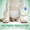 Vet's Best Comfort Fit Disposable Male Dog Diapers - Absorbent
