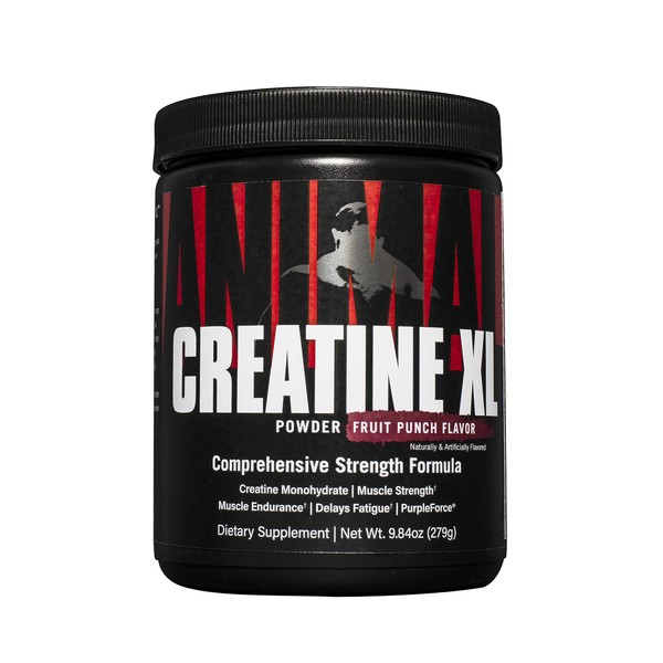 Animal Creatine XL Powder - Enhanced Pre Workout Creatine Monohydrate Supplement - Support Brain Health, Delay Fatigue, Enhance Endurance, Improve Recovery, Men and Women - Fruit Punch