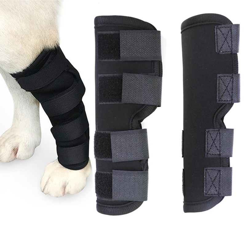iHOO 1 Pair Dog Front Leg Brace, Prevents Injuries and