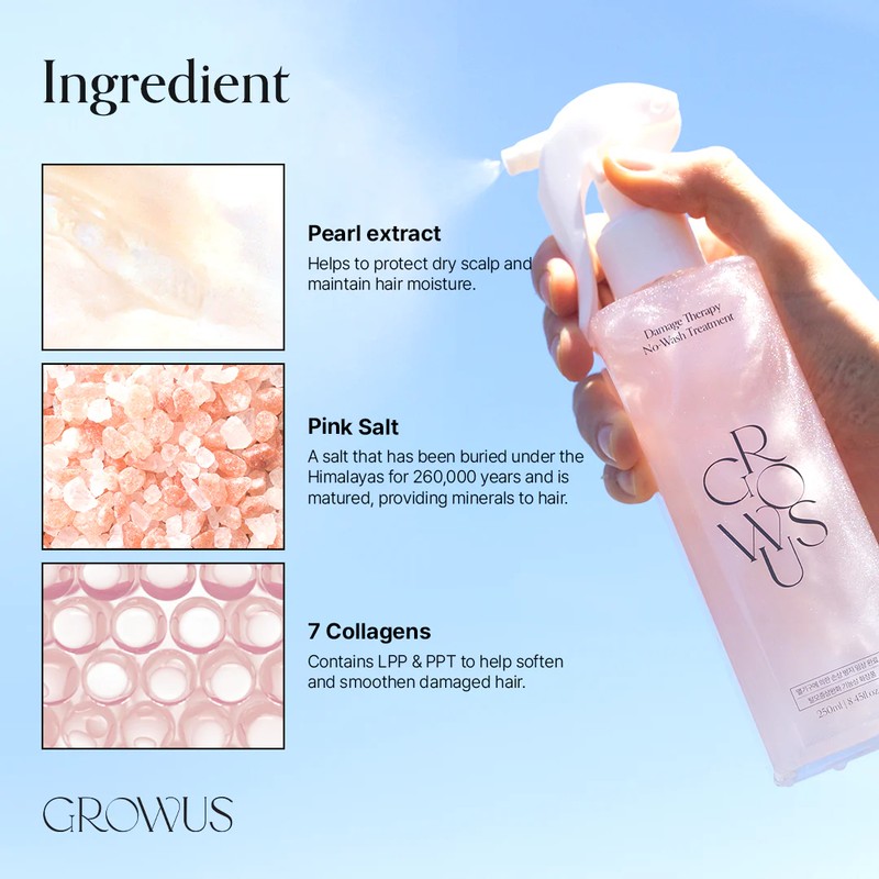 GROWUS [GROWUS]Damage Therapy No-Wash Treatment EX 250ml #Due Rose
