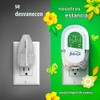 Febreze - Ambientador enchufable, kit de inicio de aceite perfumado