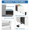 2 Drawer Metal Mobile File Cabinet Fully Assembled Rolling File
