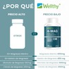 💊⚡ Wellthy 4-Mag 300 Caps | 4 Tipos de Magnesio