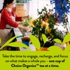 Choice Organic Teas Black Tea Variety Pack Sampler - Includes