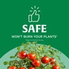 Scotts All Purpose Flower and Vegetable Continuous Release Plant Food,